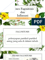 Fix Proses Fagositosis Dan Inflamasi