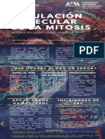 RIAL_Infografía Regulación Mitosis