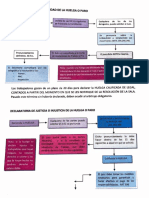 Declaratoria de Legalidad de Huelga o Paro