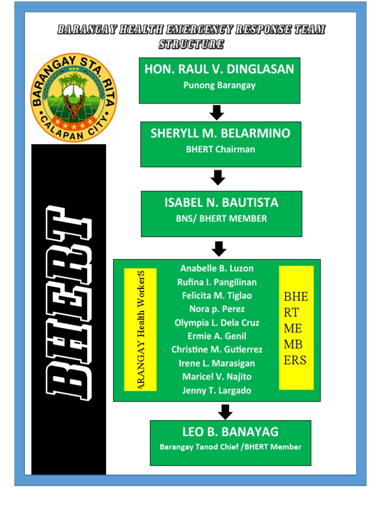 barangay-health-emergency-response-team-structure-pdf