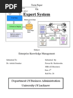 Download Expert Systems Characteristics by PawanLUMBA SN52821660 doc pdf
