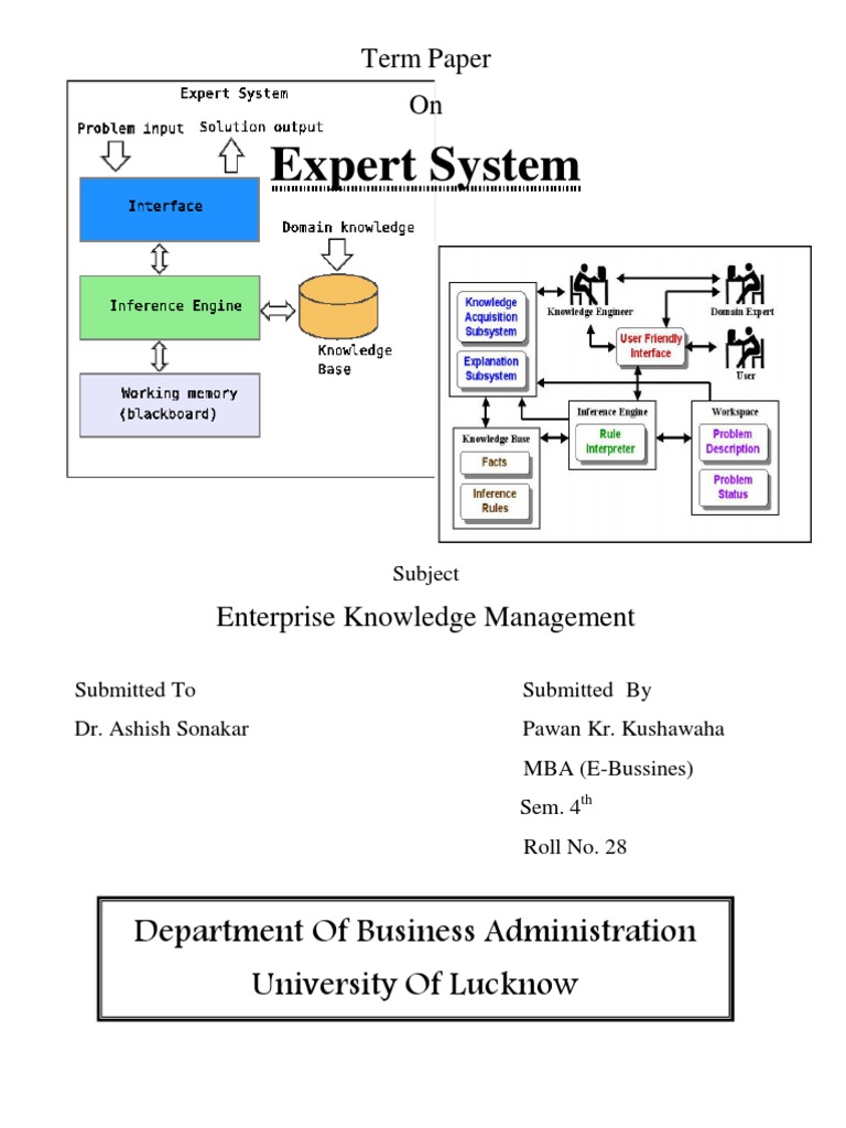 Expert Systems in Knowledge Management | PDF | Software Development ...