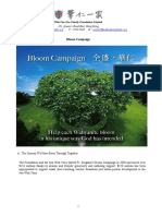 Bloom Campaign For Mini Site