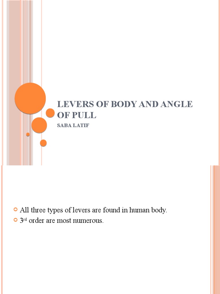Levers of Body and Angle of Pull Saba Latif PDF Lever Muscle