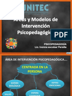 Áreas de Intervencion y Modelos