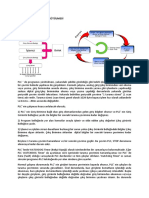 PLC'de Programın Yürütülmesi