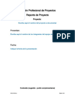 Plantilla Reporte Del Proyecto (PMBOK)