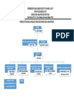 Struktur Organisasi JKN Rsudkhm