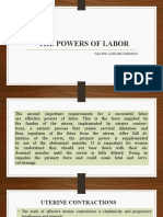 The Powers of Labor