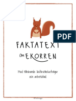 Faktatext Ekorren Kf0bow