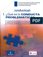 Apoyo Conductual. Qué Es La Conducta Problemática