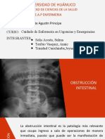 Obstrucción Intestinal