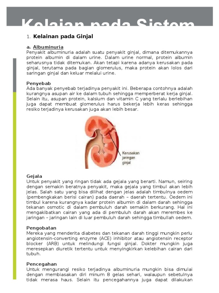 Albuminuria Adalah Suatu Gejala Kerusakan Alat - Berbagai Alat