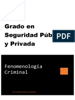 Grado en Seguridad Pública y Privada: Fenomenología Criminal