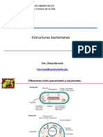 Clase 2. Estructuras Bacterianas