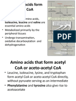 Other Amino Acids Form Succinyl Coa