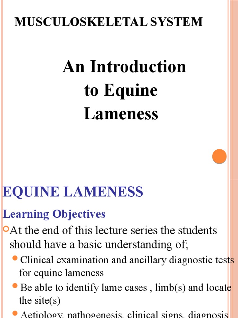 Musculoskeletal System Lameness DX Oct 2018 Lecture PDF Anatomical