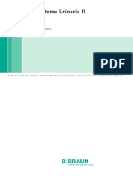 Ficha Cirugia Sistemaurinario2
