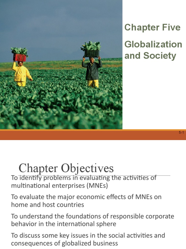 Chapter 5 - A Look at Globalization and Society | PDF | Foreign Direct ...