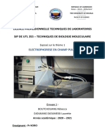 Exposé Biologie Moléculaire Electrophorèse Champ Pulsé