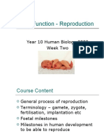 Body Function - Reproduction
