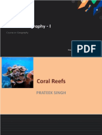 coral reef and strait