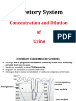 Renal System 6 1