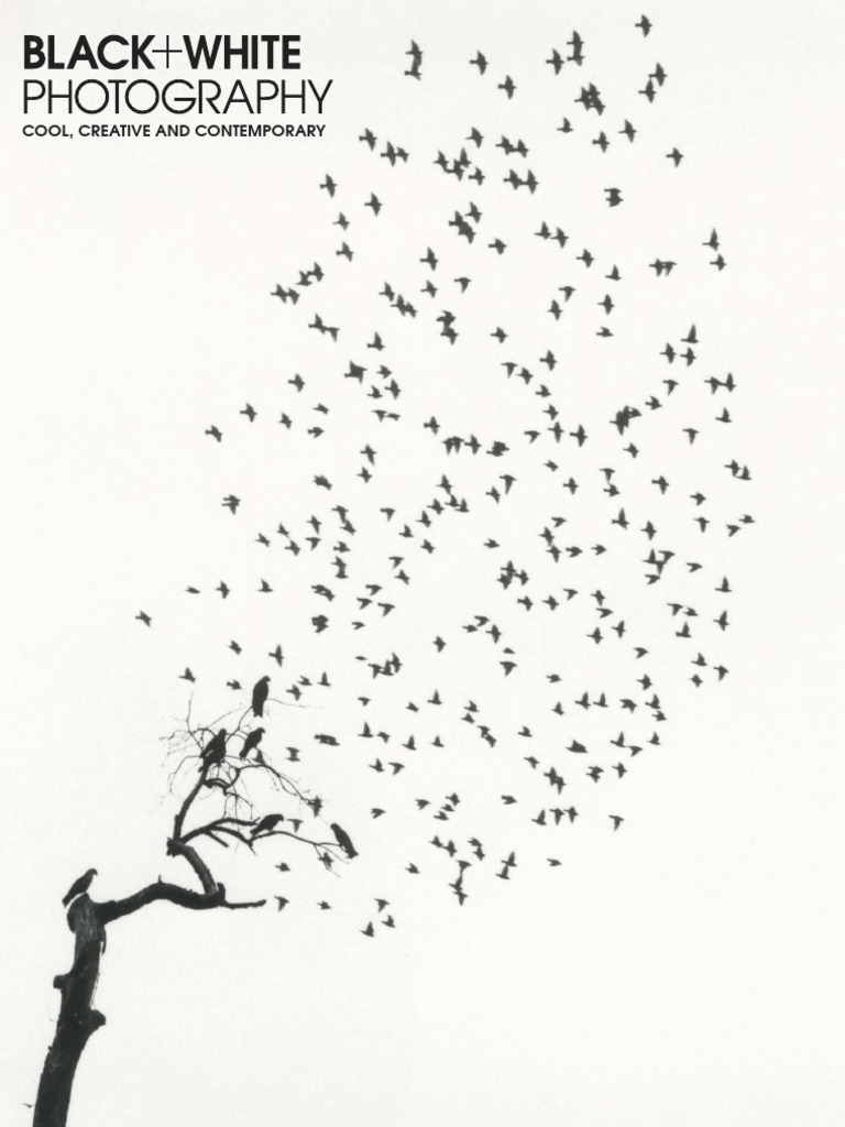 Black + White Photography TruePDFJanuary 2020 PDF