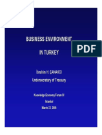 Business Environment in Turkey