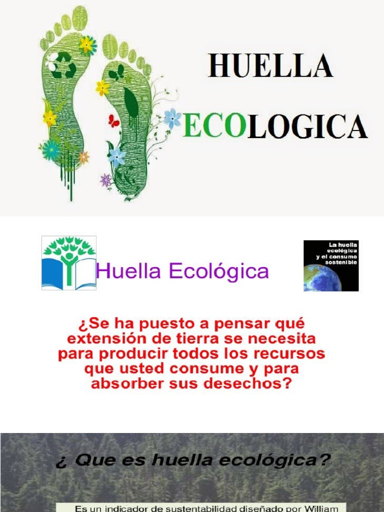 Huella Ecologica | PDF | Ecuador | Entorno natural
