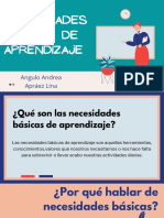 Necesidades Básicas de Aprendizaje en Primaria