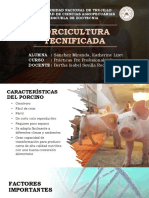 Porcicultura Tecnificada