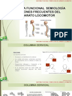 10.1 Anatomia Funcional y Semiologia Del Aparato Locomotor