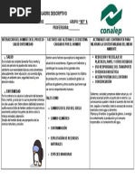 Interacción Del Hombre en El Proceso Salud Enfermedad