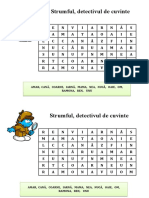 Strumful, Detectivul de Cuvinte
