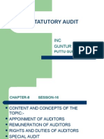 Statutory Audit