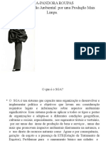 SGA-Pandora Roupas: Sistema de Gestão Ambiental para Produção Mais Limpa