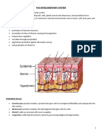 The Integumentary System