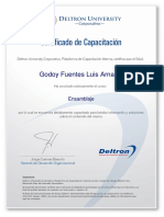 Certificado Ensamblaje Deltron