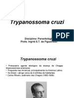7_Trypanossoma