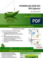 KSM MTs Jakarta STRUKTUR TUMBUHAN