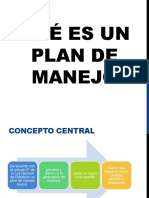 Qué Es Un Plan de Manejo