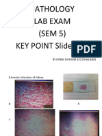 Pathology Lab Exam (SEM 5) KEY POINT Slide Part: by Dorm 19 Room 422 (Thailand)