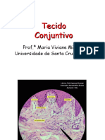 Tecido conjuntivo: matriz e funções