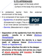 Skin Slide Student Reference