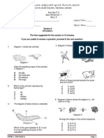 Sce Year 4 Test Paper