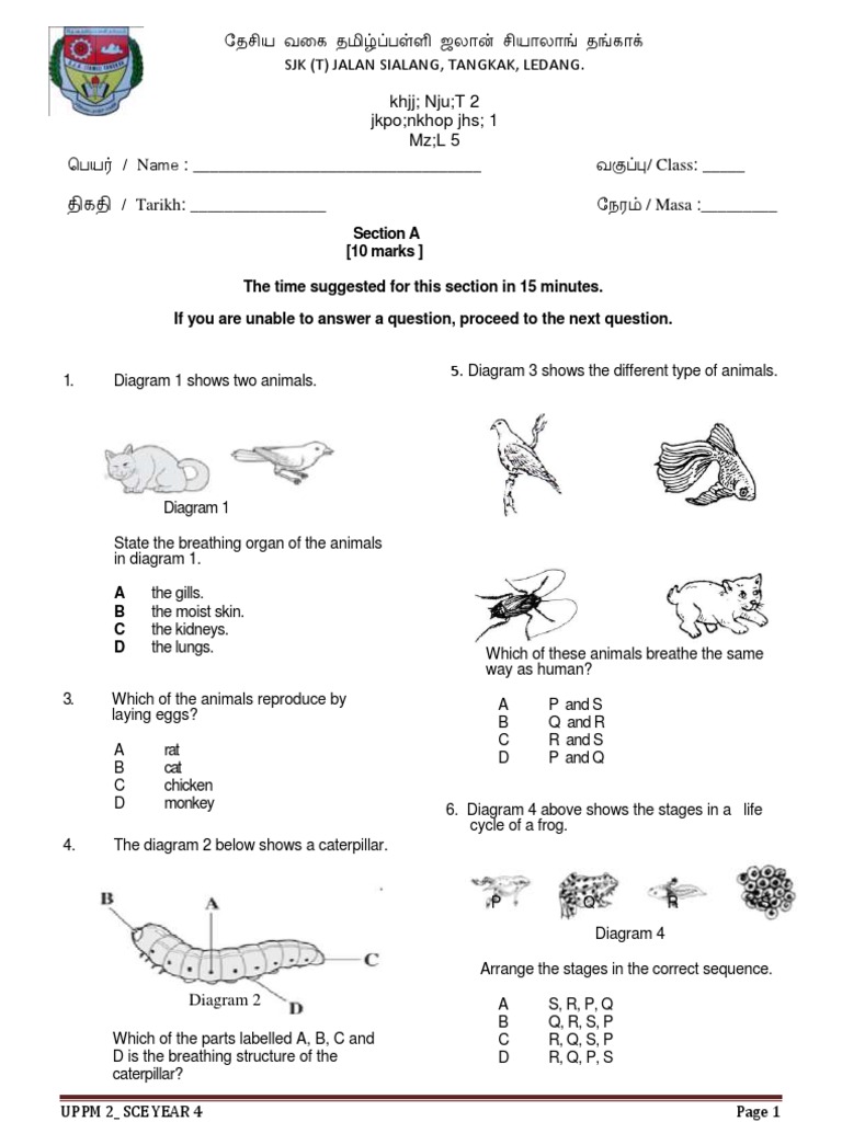 Year 4 Science Exam Paper | PDF | Organisms | Nature