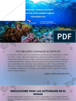 Vocabulario Animales Acuaticos Mariana S