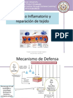 Unit 2 Lesson 1 Proceso Inflamatorio y Regeneración de Tejido