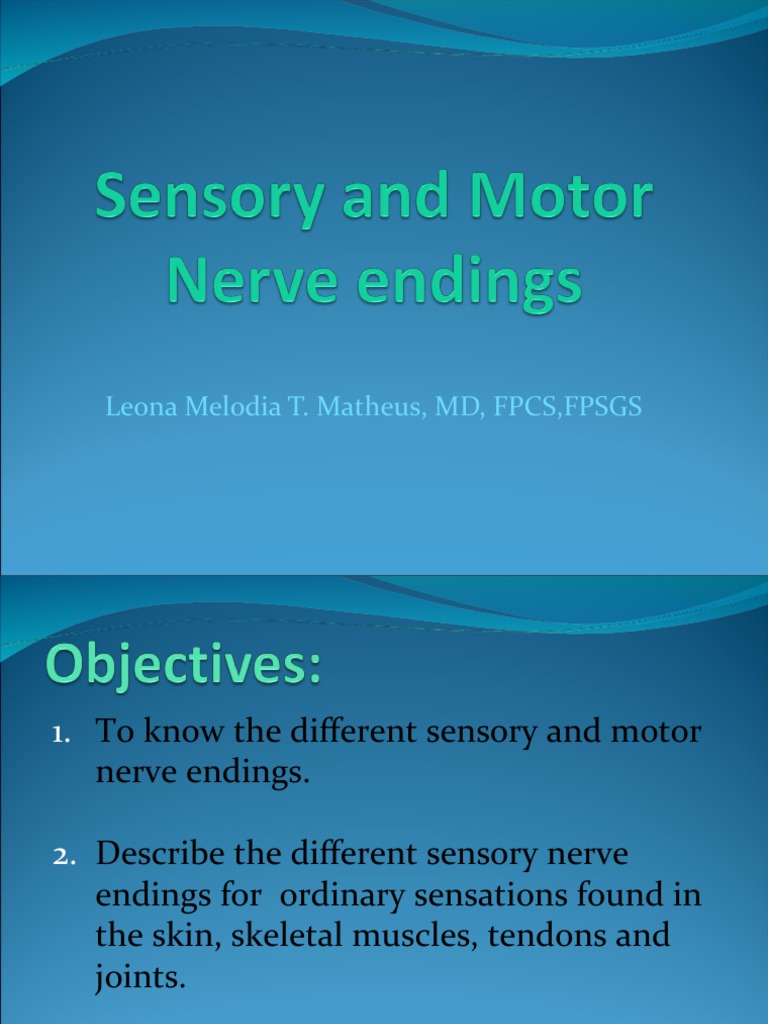 Sensory and Motor Nerve endings
